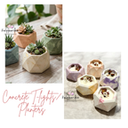 Concrete Art with Candle Making - Masterclass